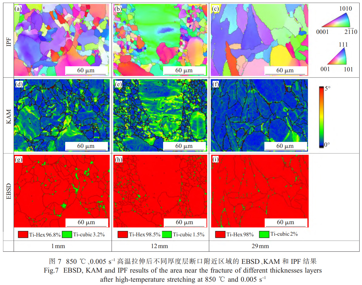 面向船舶大型殼體件的TC4鈦合金厚板精密熱壓成形技術研究——解析厚向組織不均勻性對成形性能的影響，通過應力松弛-回彈耦合模擬優(yōu)化保壓參數(shù)，實現(xiàn)±2mm形狀公差的高精度成形