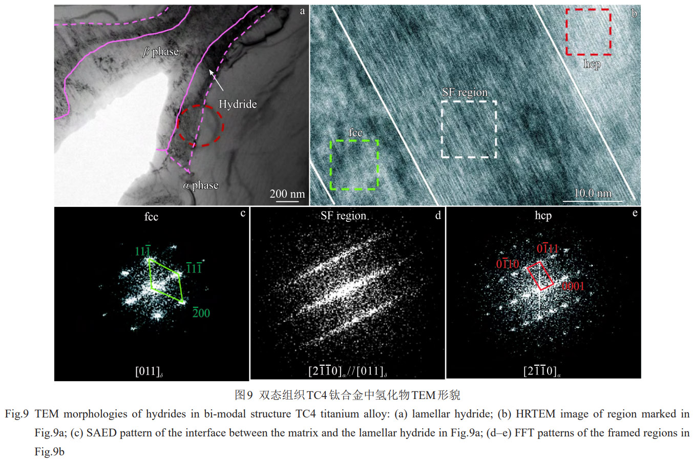 顯微組織對TC4雙相鈦合金氫化物轉變及氫分布的影響機制——系統(tǒng)解析相界面作用、氫擴散規(guī)律與氫化物變體選擇特性