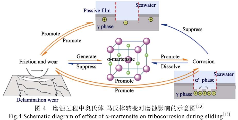 海洋環境鈦管鈦鍛件等鈦合金的應用現狀及其防護技術研究