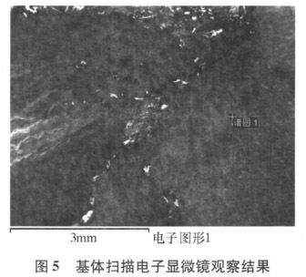 1639923556798755.jpg 5.jpg