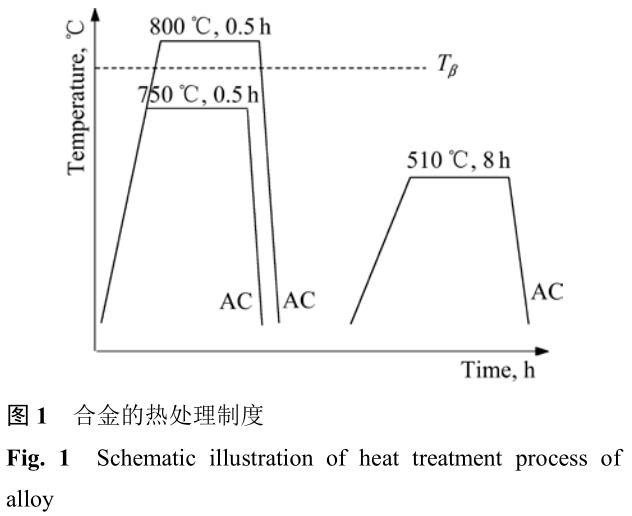 1700405035206253.jpg t1.jpg