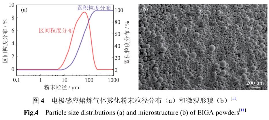 1721484084893079.jpg t4.jpg