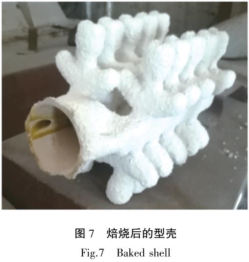 1721702879850047.jpg t7.jpg