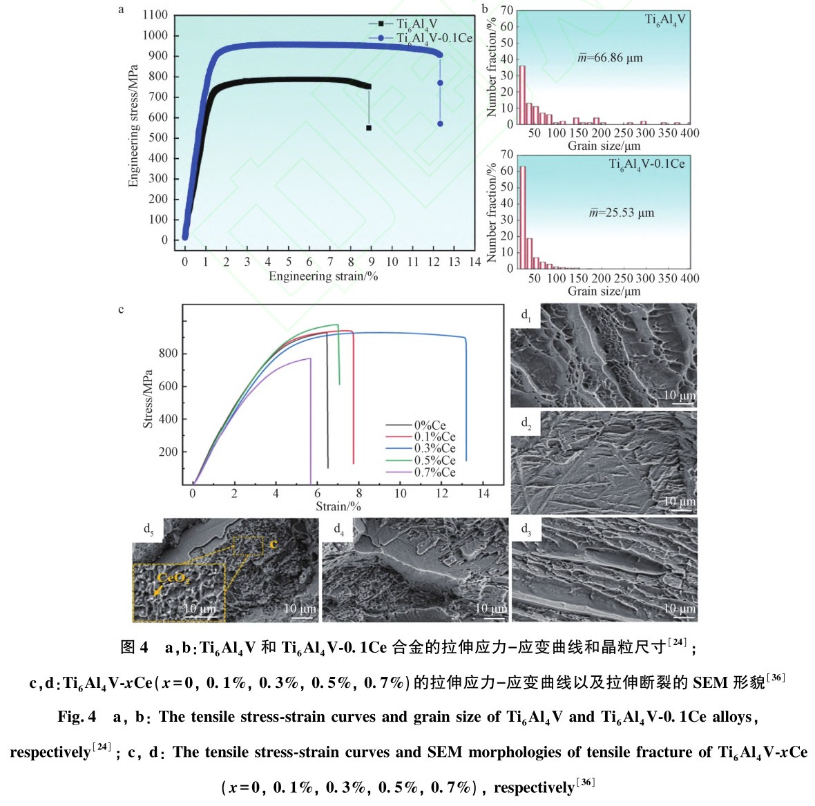 1731228993876874.jpg 4.jpg