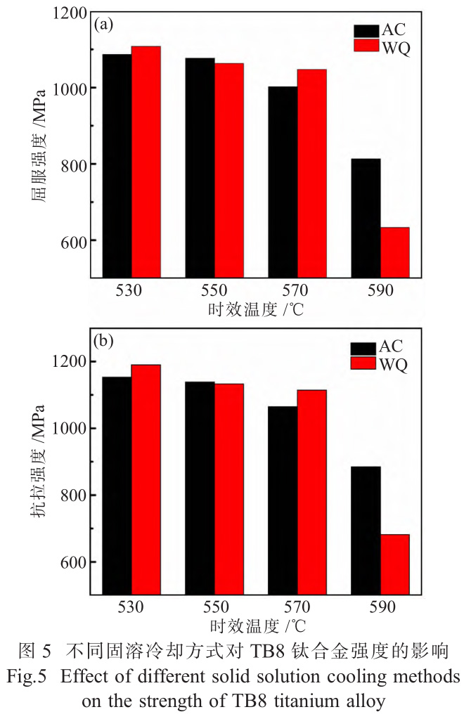 1735116790693034.jpg 5.jpg