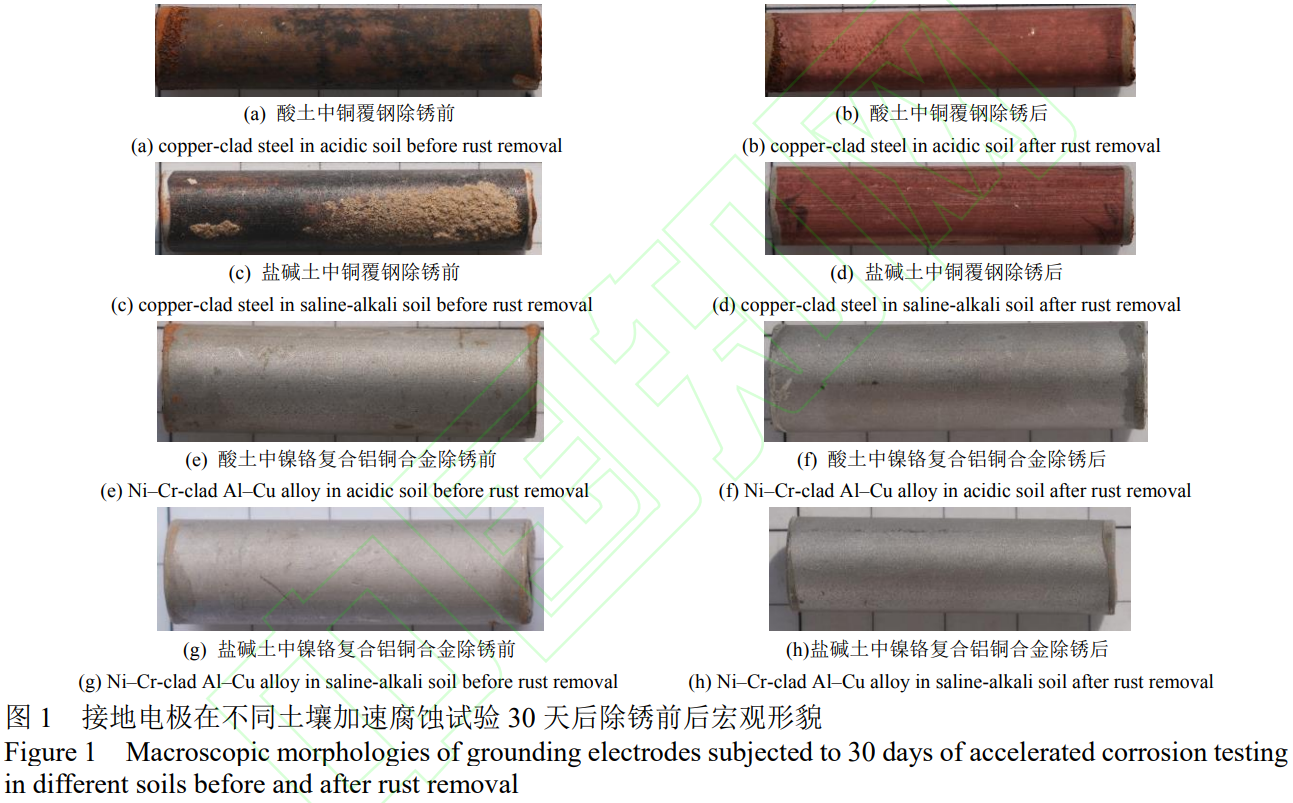 1773622012551223.png 1.png