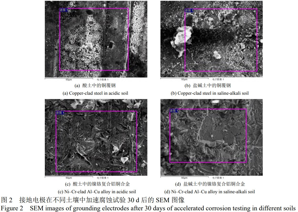 1773622024322540.jpg 2.jpg