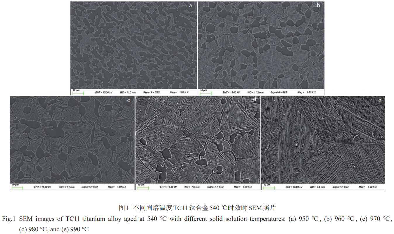 1776130398984624.png 1.png